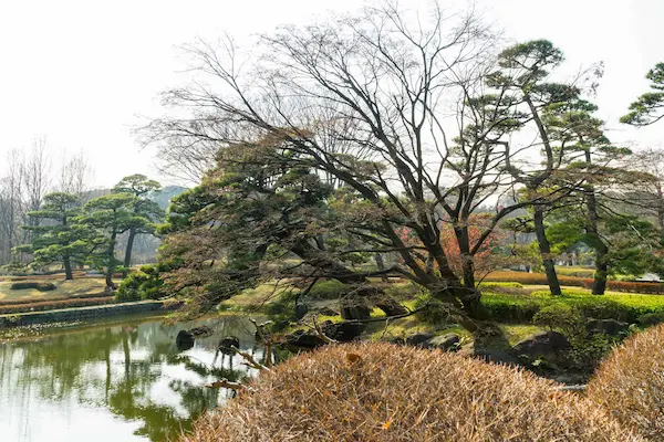 Ninomaru garden (3)